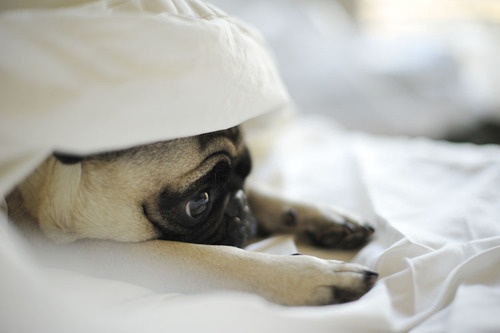 14 (és fél) alkalom, amikor teljesen jogosan maradhatsz ágyban egész álló nap - KERESD A NŐT  - Fesztelen mindennapok - kifogások, lustálkodás, tippek, 