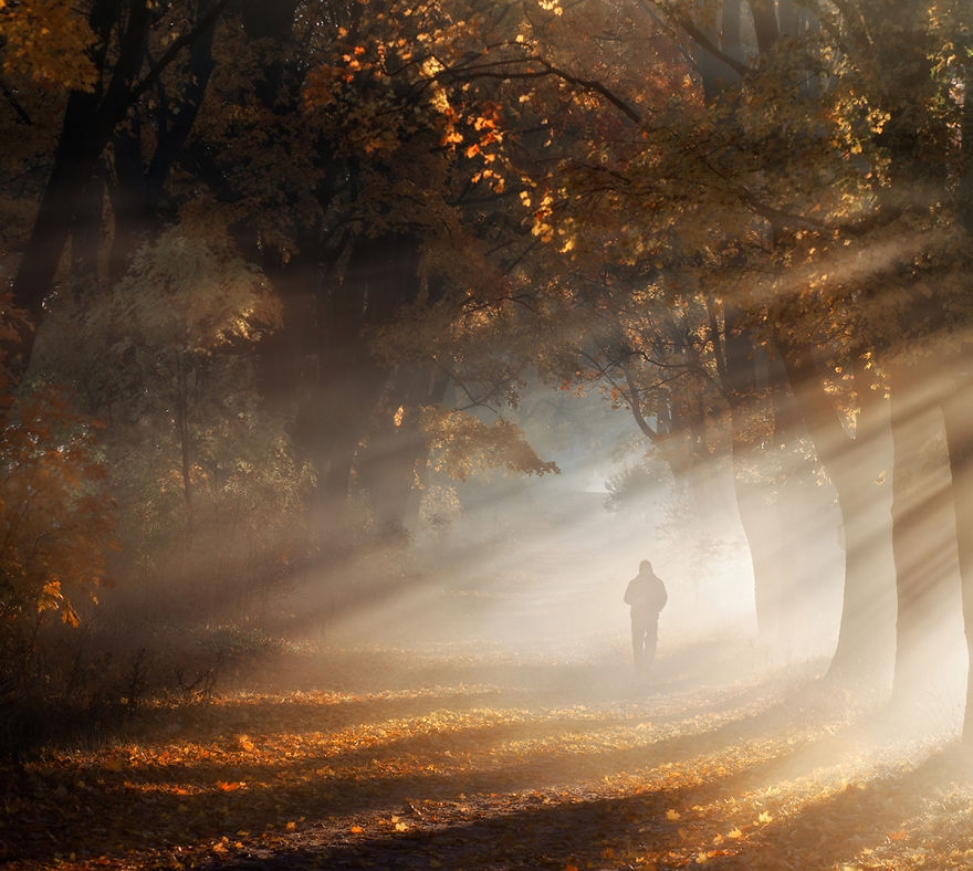 9 gyönyörű őszi fotó egy lengyel erdőről - STYLELIFE - Utazás - hangulat, Lengyelország, ősz, őszi erdő, őszi színek, 