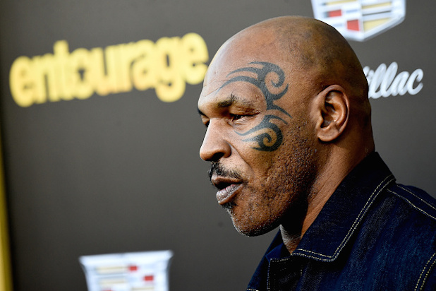 Az elnökválasztás előtt egy nappal - Nézd meg, kire szavaznak a hírességek - Celebrity -  - amerikai elnökválasztás, donald trump, hillary clinton, 