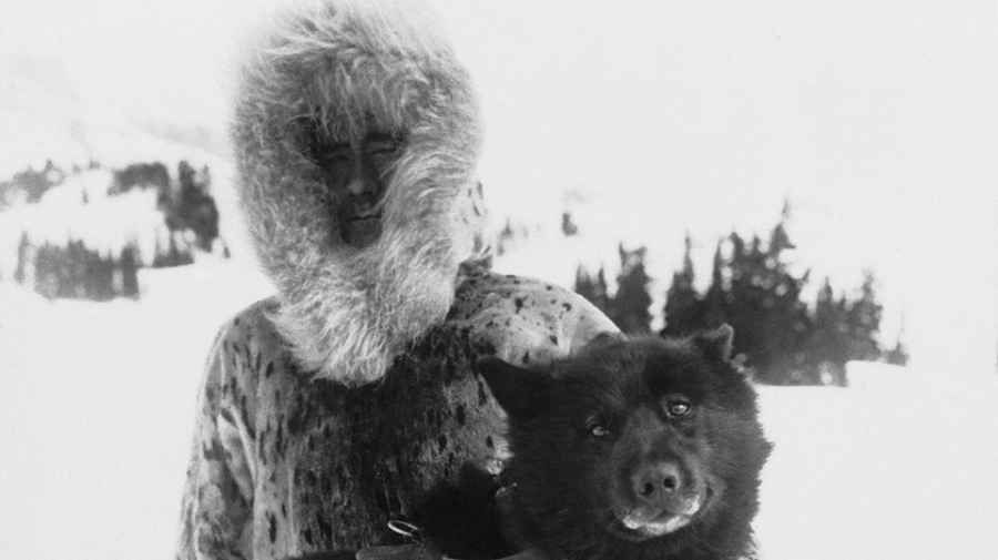 Egy igazi téli mese - STYLELIFE - Utazás - januárra ajánljuk, szánhúzó kutya, téli mese, 