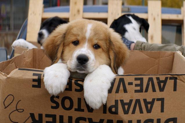 7 film, amiért érdemes moziba menni januárban - KERESD A NŐT  - Fesztelen mindennapok - 2017, filmek, január, mozi, mozifilmek, 