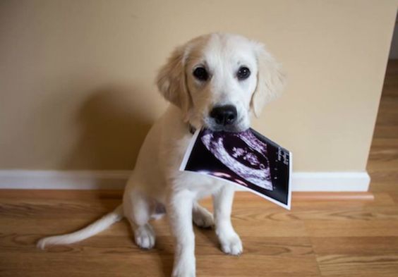 Top10: a legcukibb bejelentések a kisbaba érkezéséről - STYLELIFE - Stylekids - 