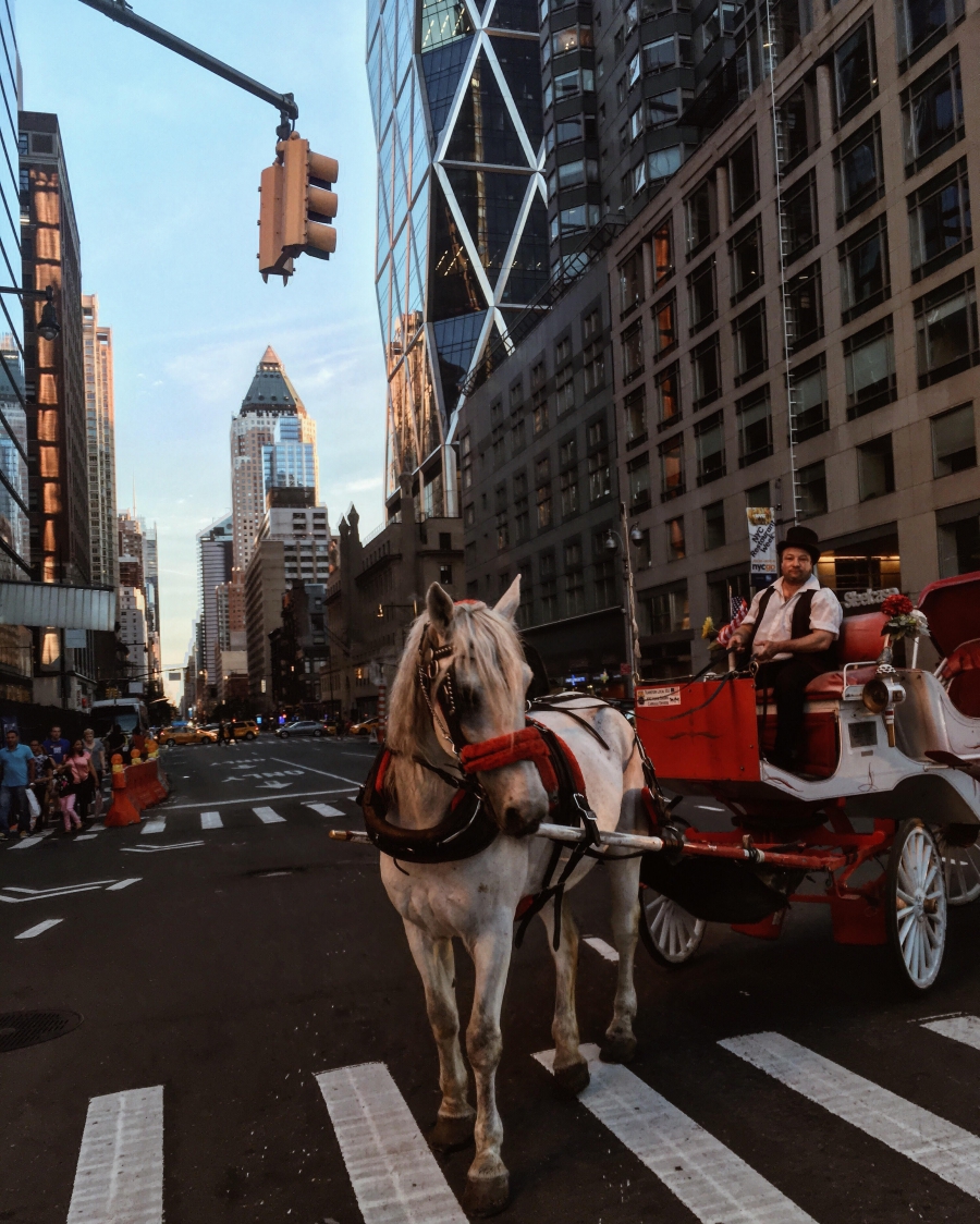 Top35: csodás képek a mindig lenyűgöző New York-ról - STYLELIFE - Utazás - amerika, brooklyn, fotók, képek, manhattan, new york, nyaralás, utazás, 