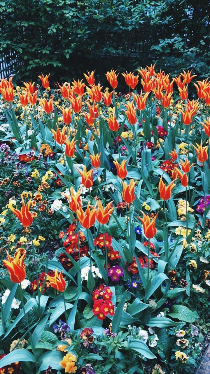 Top30: gyönyörű képek a tavaszi Párizsról - STYLELIFE - Utazás - fotók, franciaország, párizs, tavasz, 