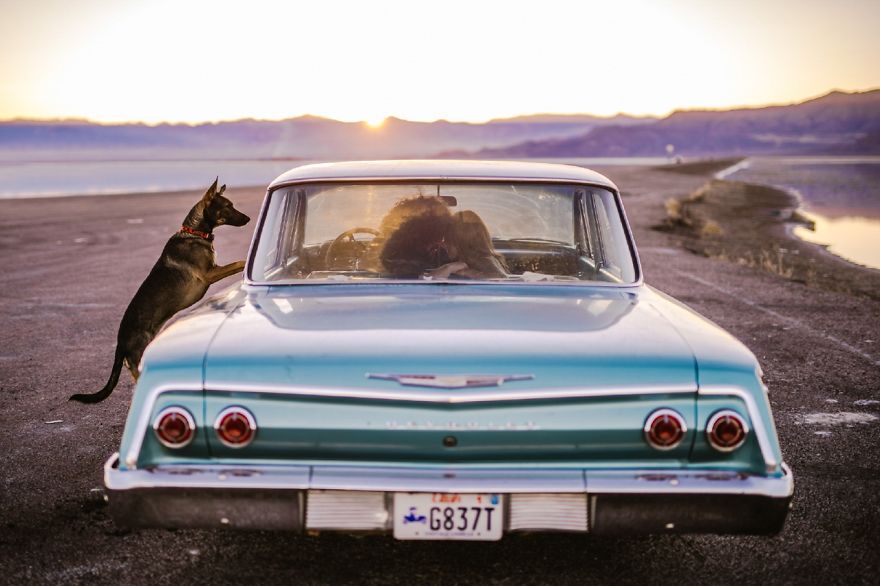 Top15: Legjobb eljegyzési fotók - STYLENEWS - Kultúr-kitérő - boredpanda, eljegyzés, esküvő, fotózás, pályázat, verseny, 