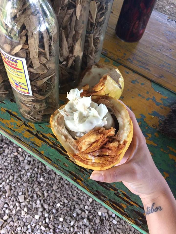 Bakancslista: Dominika, a kontrasztok hazája - STYLELIFE - Utazás - dominika, dominikai köztársaság, utazás, 