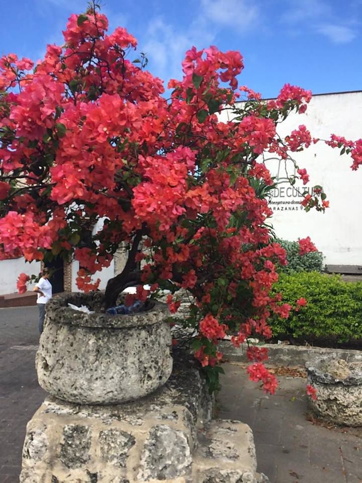 Bakancslista: Dominika, a kontrasztok hazája - STYLELIFE - Utazás - dominika, dominikai köztársaság, utazás, 