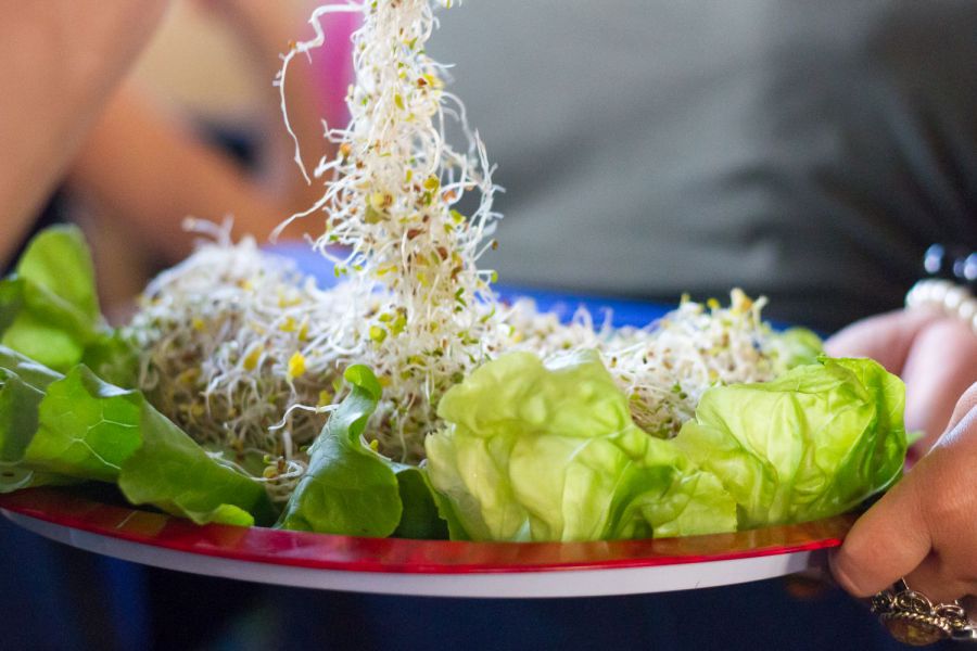 Egy hónap múlva kezdődik a 21. Vegetáriánus Fesztivál - STYLENEWS - Rendezvények - fesztiválok 2017, vegetáriánus, 