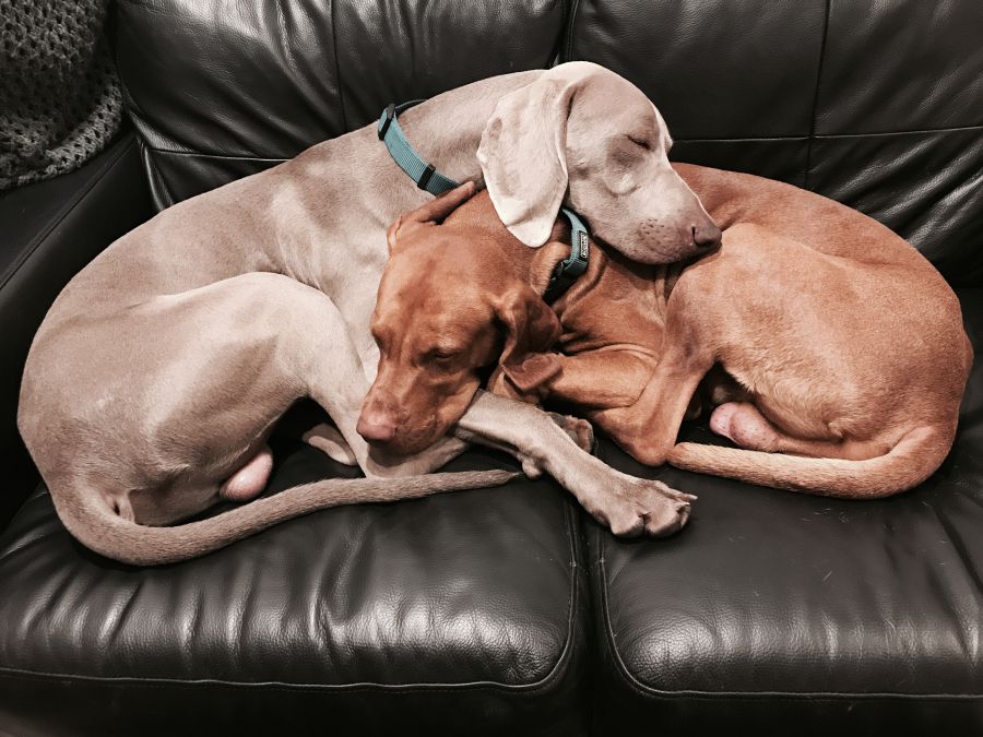 „A proaktivitás, az újítás iránti vágy. Szerintem ez a titka.“ Beszélgetés Azharul Vandával - STYLENEWS - Interjúk - 