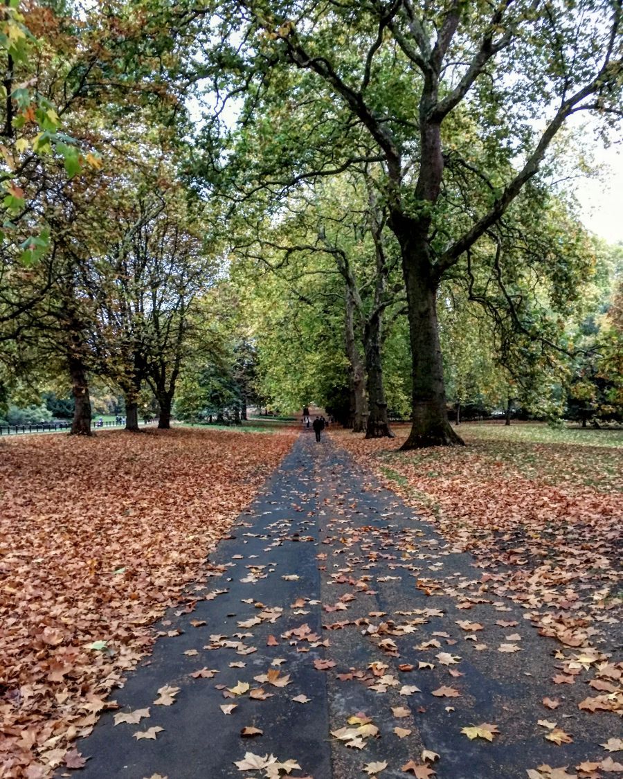 20 csodás fotó az őszi Londonról - STYLENEWS - Aktuális - anglia, fotók, képek, london, ősz, 