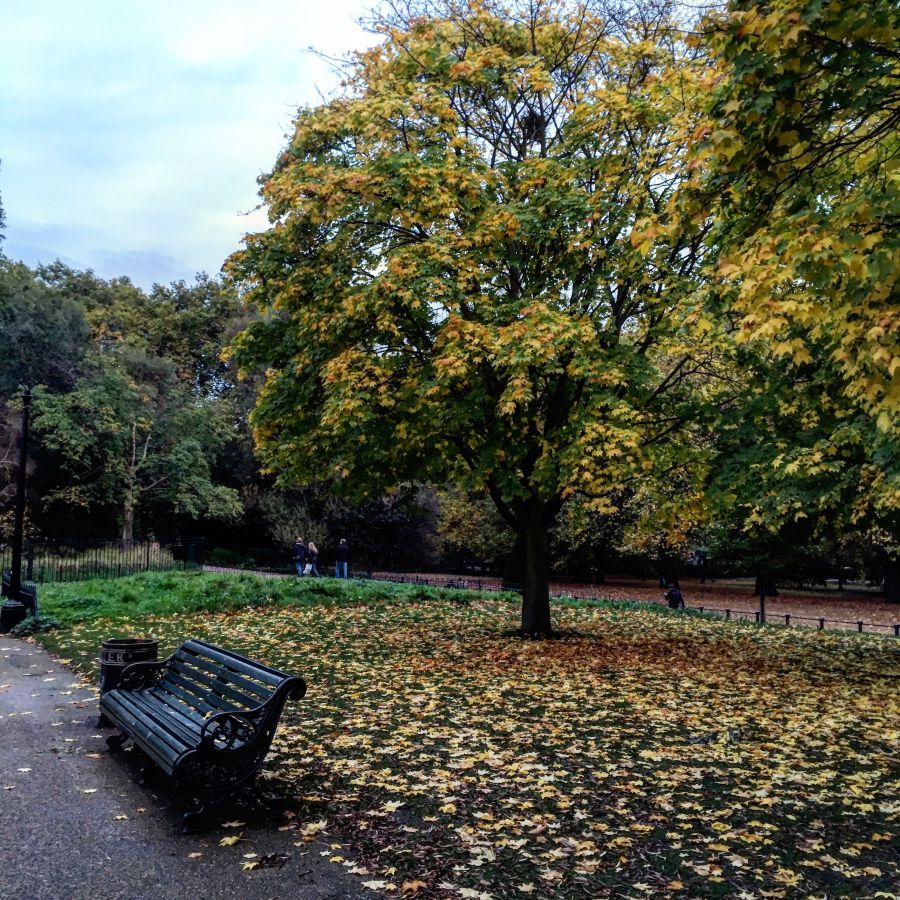 20 csodás fotó az őszi Londonról - STYLENEWS - Aktuális - anglia, fotók, képek, london, ősz, 