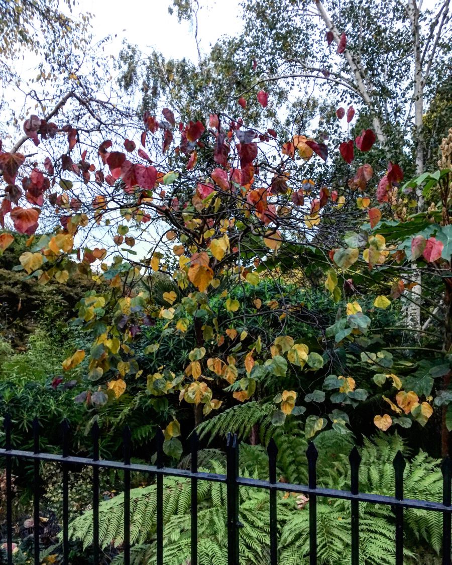 20 csodás fotó az őszi Londonról - STYLENEWS - Aktuális - anglia, fotók, képek, london, ősz, 