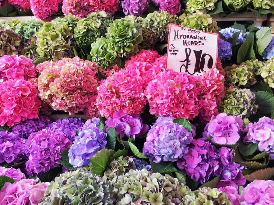 London szűk büdzsével? Nagyon is lehetséges - STYLELIFE - Utazás - 15tickets, london, utazás, 