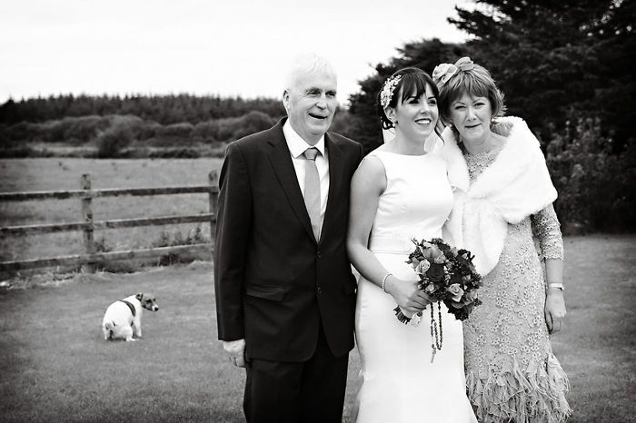 15 esküvői fotó, amibe nagyon viccesen beletrollkodtak - KERESD A NŐT  - Fesztelen mindennapok - esküvő, esküvői fotó, trollkodás, vicces fotó, 