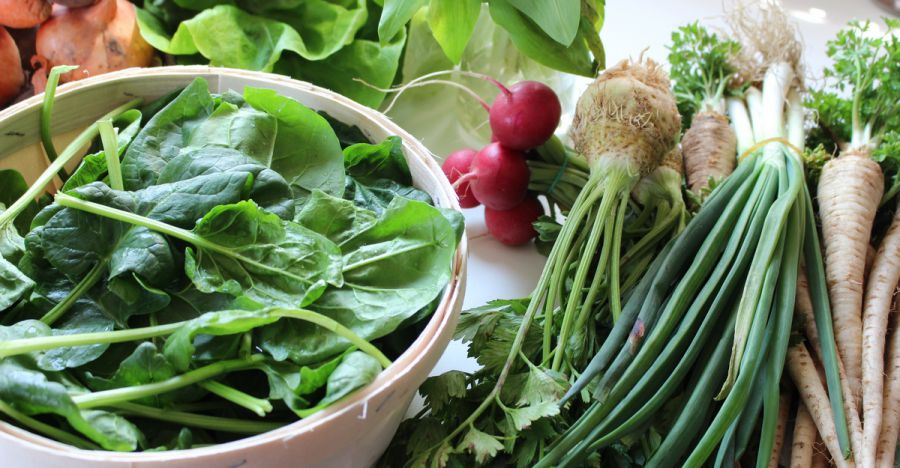 Inzulinrezisztencia étrend: a 160 gramm ALAPÚ szénhidrátdiéta - STYLELIFE - Egészség - egészség, inzulinrezisztencia, IR, táplálkozás, 