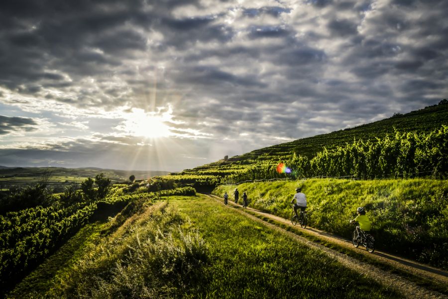 Tavaszi zsongás, megújulás Alsó-Ausztriában - STYLELIFE - Utazás - alsó-ausztria, utazás, 