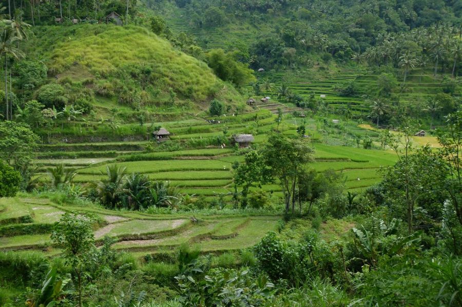 Elindult az első magyar digitális nomád túraszervező vállalkozás - STYLENEWS - Aktuális - coworking, munka, the paradise project, utazás, 