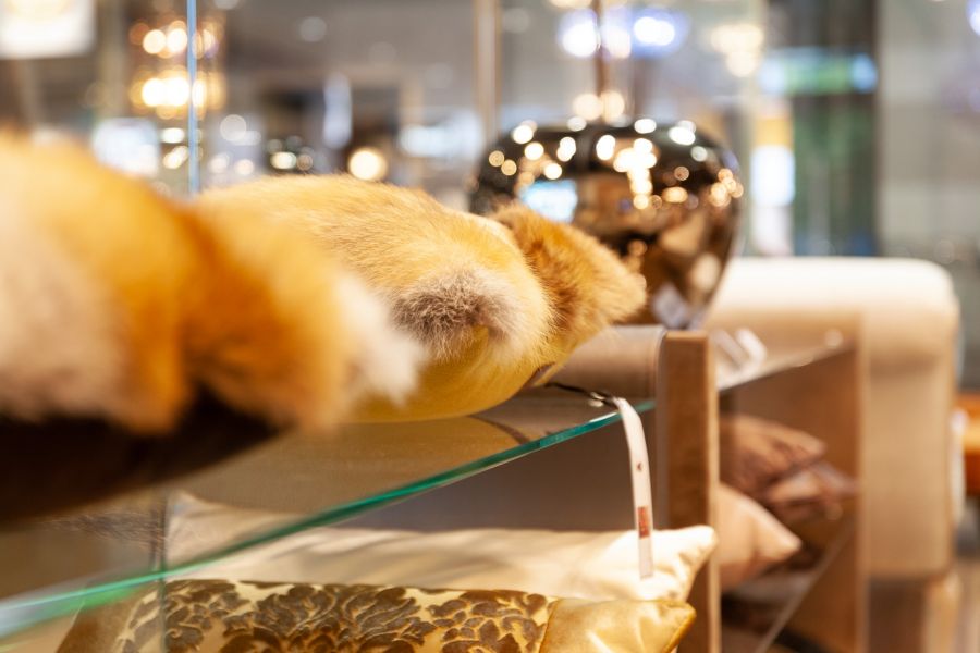 Ahol a lélek testet ölt - Szerelmünk a Wenga - STYLELIFE - Otthon & Design - bútormanufaktúra, enteriőr, manufaktúra, maxcity, wenga, wenga bútor, wenga manufacture, 