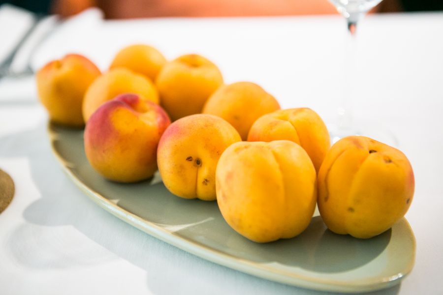 Igazi gasztroínyencségekkel vár a VII. Gönci Barack Vigasság - STYLENEWS - Rendezvények - barack, boldogkőváralja, gönci barack, gönci barack vigasság, 