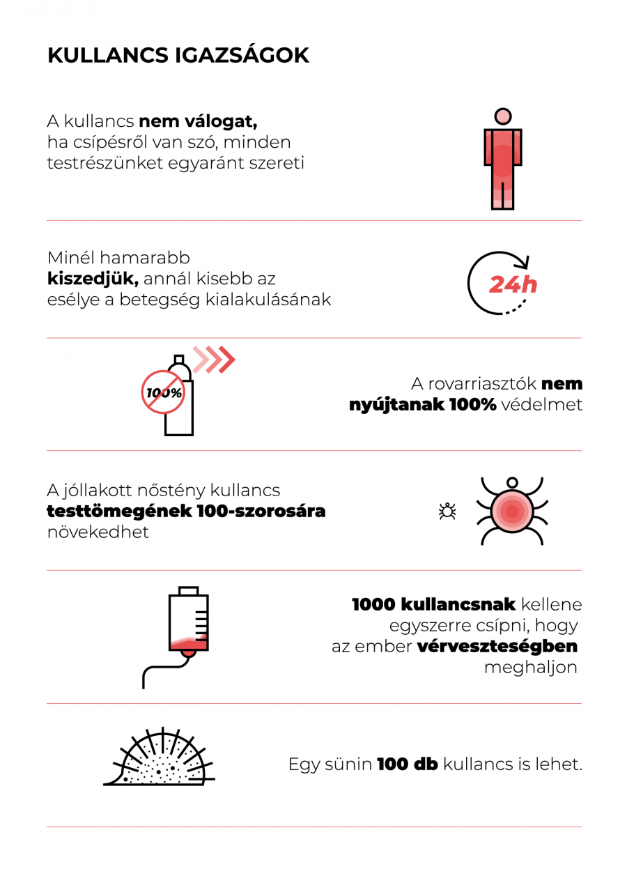 Lyme-kór: A téves diagnózis a legnagyobb probléma - STYLELIFE - Egészség - betegségek, egészség, lyme betegség, lyme kór, 