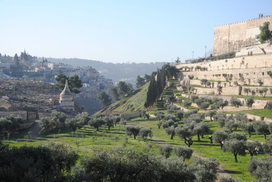 A változatosság gyönyörködtet - Izrael - STYLELIFE - Utazás - dr almásy gyula, izrael, utazás, 