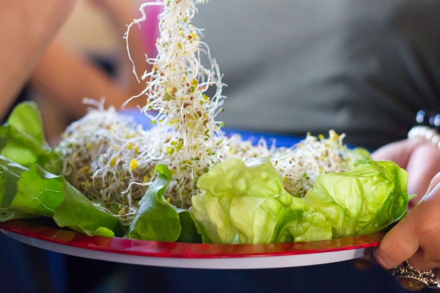 Hamarosan kezdődik a 22. Vegetáriánus Fesztivál - STYLENEWS - Rendezvények - fesztivál, vegetáriánus, 