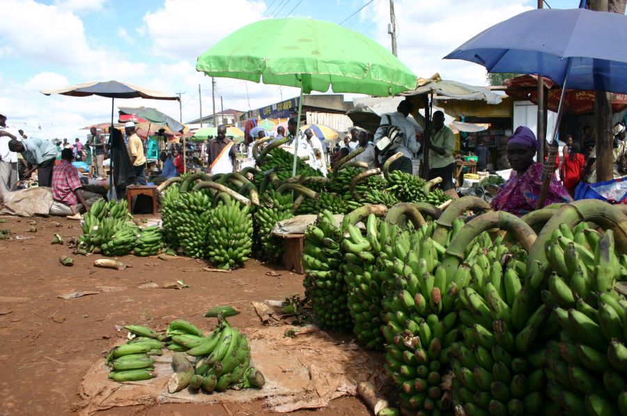 Felfedezésre váró Afrika - Uganda - STYLELIFE - Utazás - afrika, uganda, utazás, vjm style, 