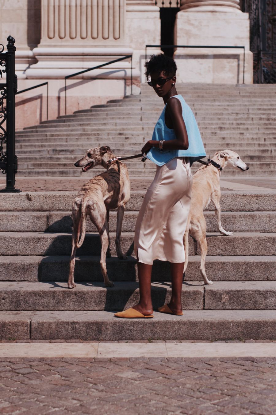 Sikk, dizájn, kutyásoknak! - STYLENEWS - Aktuális - dizájn, háziállatok, stílus, 