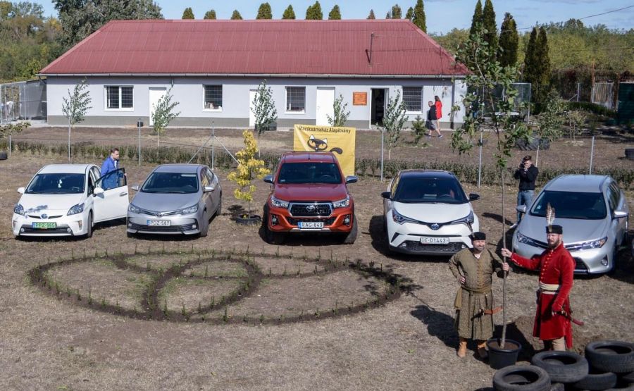 Ments meg egy kiscicát, és megmented a világot! - STYLENEWS - Rendezvények - alapítvány, állatok, cicák, kápolna, macskaárvaház alapítvány, macskák, 