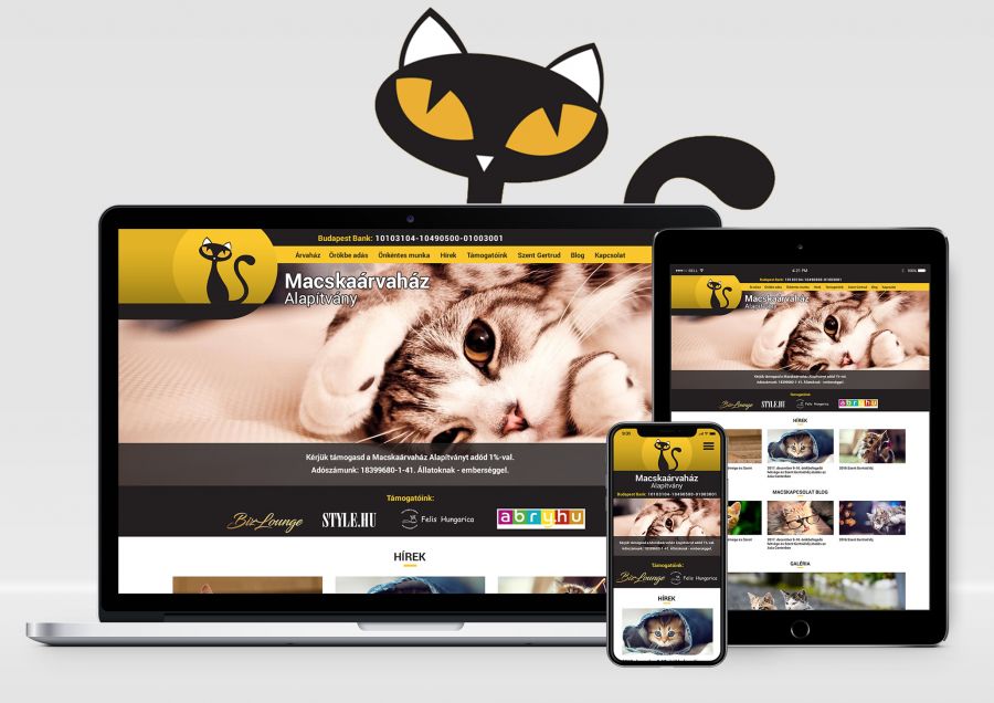 Ments meg egy kiscicát, és megmented a világot! - STYLENEWS - Rendezvények - alapítvány, állatok, cicák, kápolna, macskaárvaház alapítvány, macskák, 