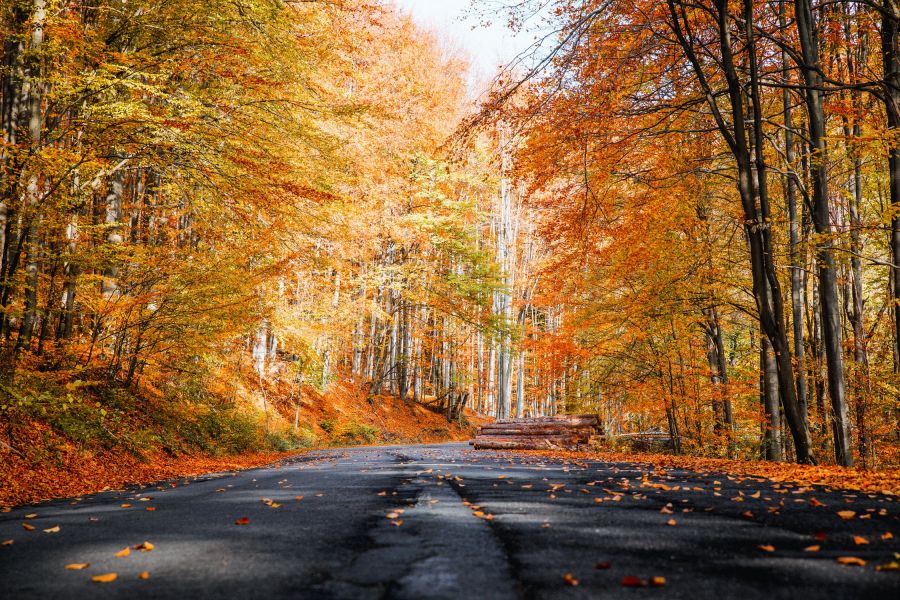Magyarország legszebb kiránduló helyei ősszel - STYLELIFE - Utazás - kirándulás, magyarország, ősz, 