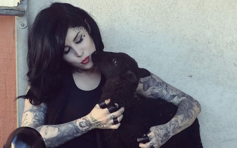 Állatvédelem - Amivel az év minden napján érdemes foglalkozni - STYLENEWS - Aktuális - állatok, állatvédelem, 