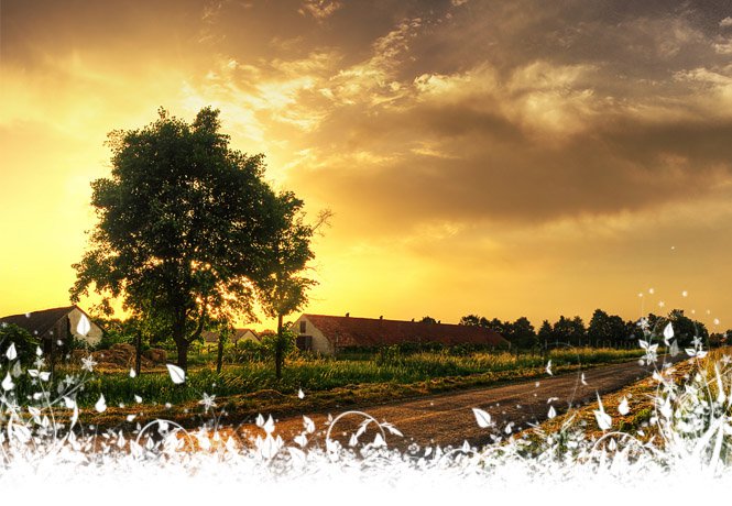 Vénasszonyok nyara - Fesztelen mindennapok -  - 2010, érdekességek, évszakok, ősz, 