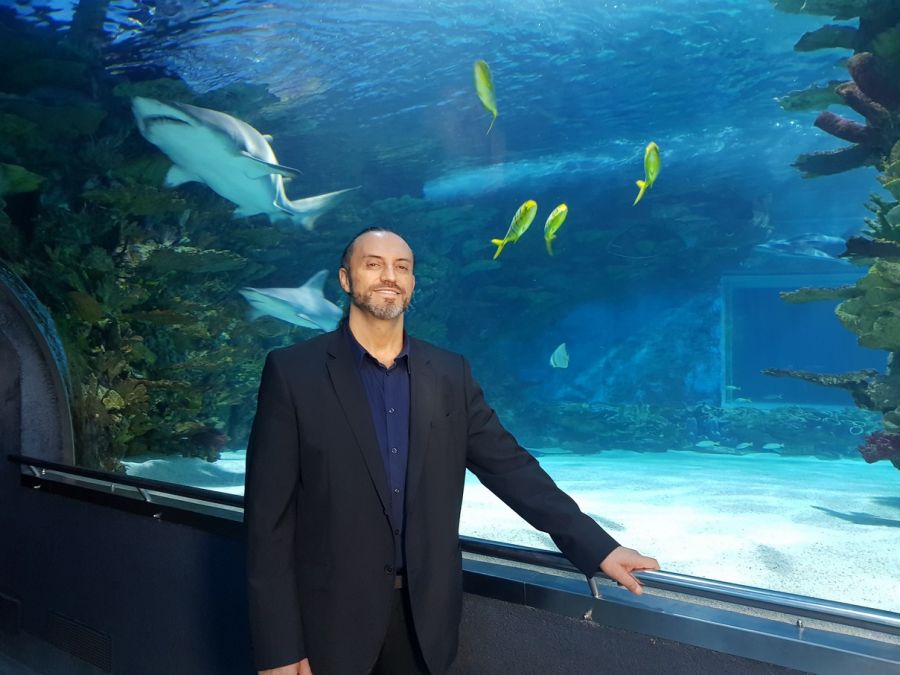 'A búvárkodás egy fantasztikus látvánnyal járó, rendkívül nyugodt élmény' - interjú Farkasdi Thomasszal, a Tropicarium tulajdonosával - STYLENEWS - Interjúk - búvárkodás, farkasdi thomas, interjú, sportolás, tropicarium, 