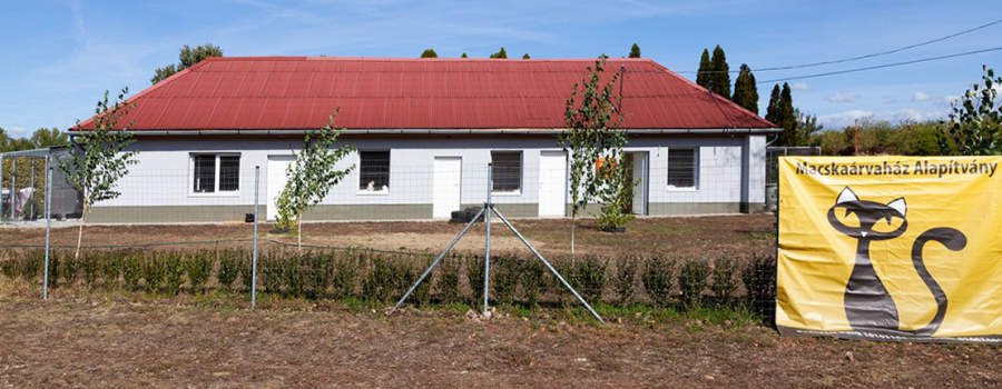 Veterán járművek fognak felvonulni Kápolnán - STYLENEWS - Rendezvények - 