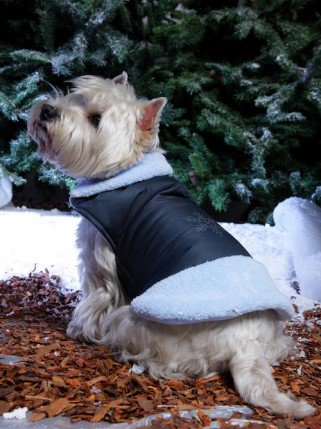 Mire jó a kutyaruha? És milyen A jó kutyaruha? -  -  - DogThings, kutya, kutyadivat, 