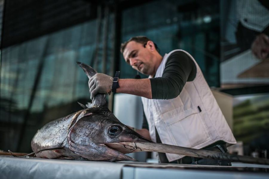 Csúcsragadozó a Lupán - STYLENEWS - Rendezvények - gasztronómia, kardhal, lupa beach, 