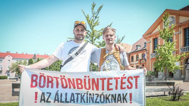 Most csincsillákért harcolt Kiss Norbert - STYLENEWS - Aktuális - kamionversenyző, kiss norbert, macskaárvaház, 