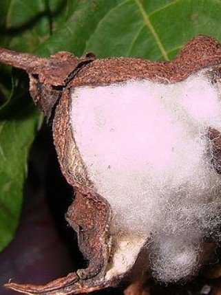 Mikor passzol egy farmer? - Hírek  -  - 2010, divat, farmer, öltözködés, 