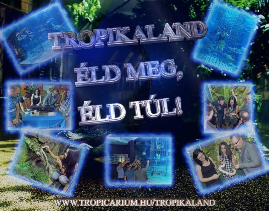 TropiKaland - Éld meg, éld túl! - STYLELIFE - Style family - állatkert, Budapest, tropicarium, tropikaland, 