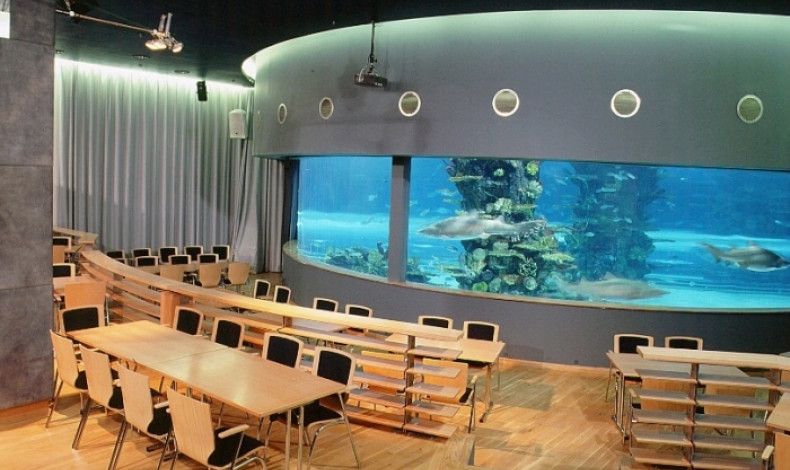 Közeledik a karácsony - Izgalmas helyszín céges rendezvényhez - STYLELIFE - Style family - céges rendezvény, karácsony, rendezvény, tropicarium, 