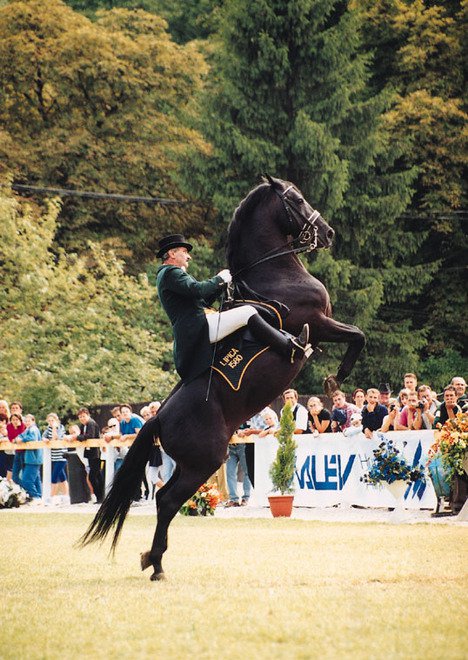 Lovas Nemzet - STYLELIFE - Fesztelen mindennapok - Lovas Nemzet, 