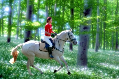 Lovas Nemzet - STYLELIFE - Fesztelen mindennapok - Lovas Nemzet, 