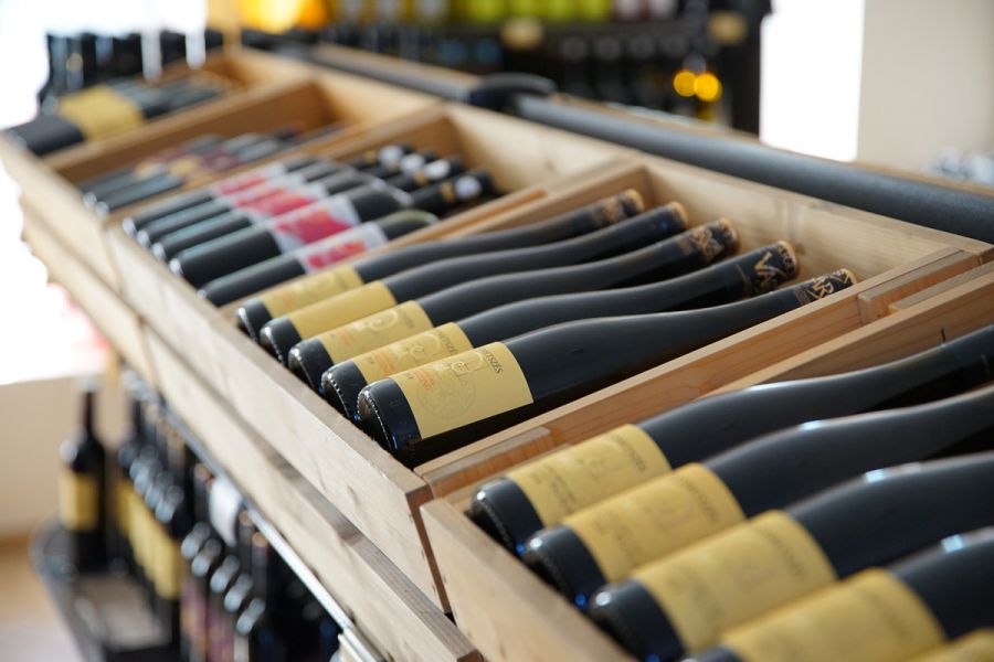 Varga Pincészet - A jövő felé - Interjúk -  - badacsony, balaton, interjú, varga pincészet, 