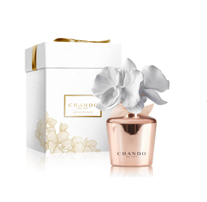 Varázsold hangulatossá az otthonod az ünnepekre a legfinomabb illatokkal - STYLELIFE - Otthon & Design - aria pura, aromauzlet, illat, otthon, ünnep, 