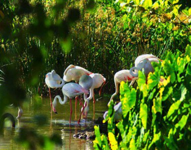 Tanzánia - Utazás -  - Afrika, érdekességek, Tanzánia, utazás, 