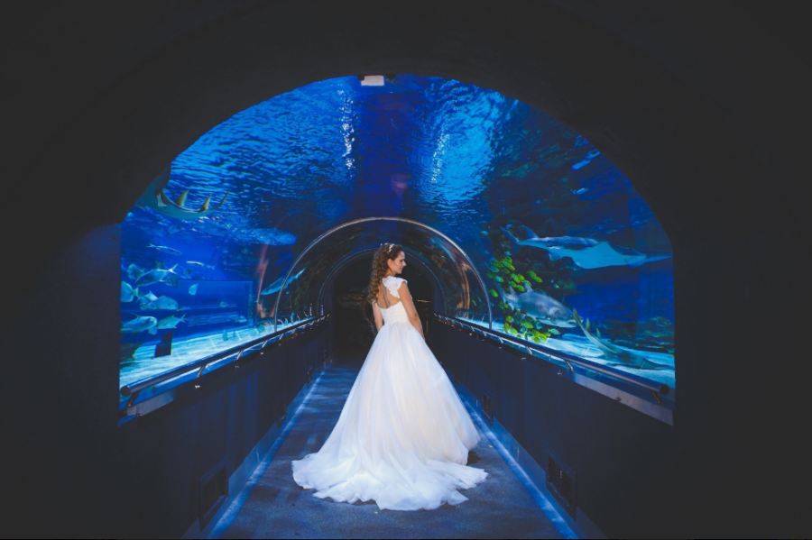 Egzotikus esküvői helyszín a fővárosban - STYLELIFE - Style family - állatkert, campona, esküvő, tropicarium, 