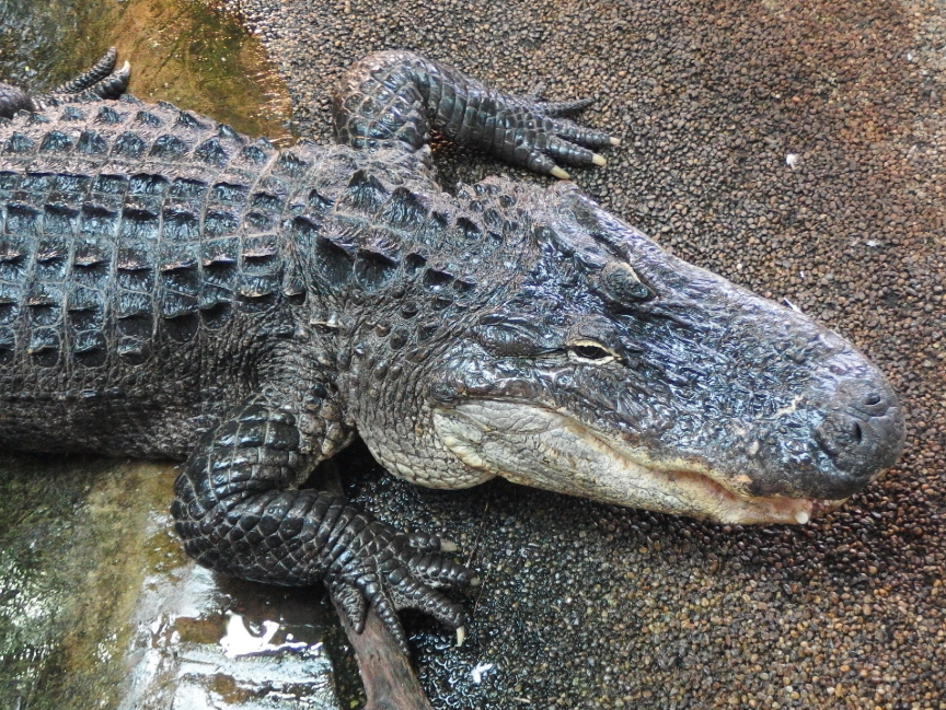 Játszva tanulás - Mit csináljunk a gyerekekkel, ha rossz az idő? - STYLELIFE - Style family - állatkert, család, gyerekek, program, tropicarium, 