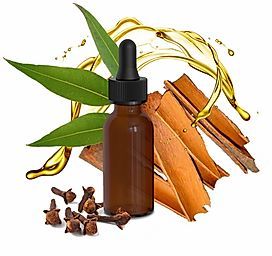 Dr. Házi Edina gyógyszerész, kutató-fejlesztő DRHAZI® hightech kozmetikumok gyártója - STYLELIFE - Egészség - dr házi edina, drhazi, illóolaj, 