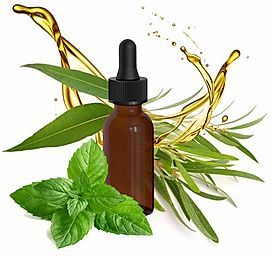 Dr. Házi Edina gyógyszerész, kutató-fejlesztő DRHAZI® hightech kozmetikumok gyártója - STYLELIFE - Egészség - dr házi edina, drhazi, illóolaj, 